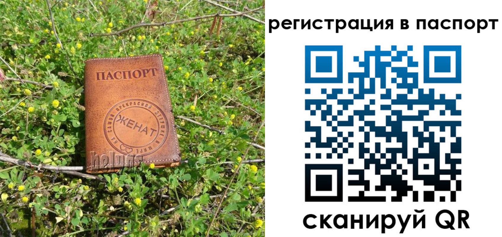 прописка законно в Белгороде